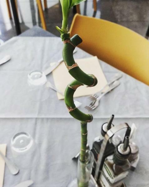 Hotel Etoile Rimini Dış mekan fotoğraf